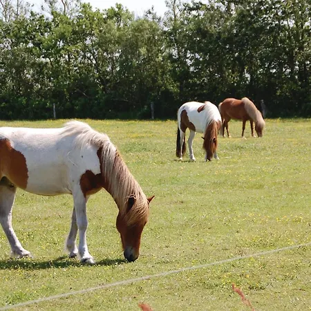 Three-bedroom In Dom wakacyjny Blåvand