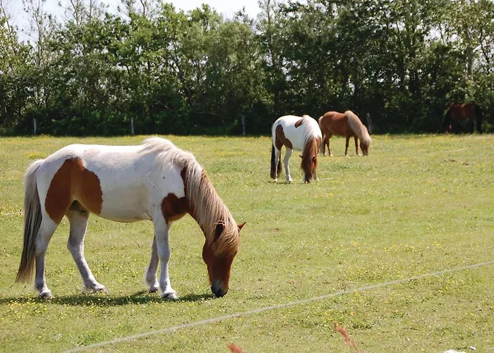 Three-bedroom In Nyaraló Blåvand